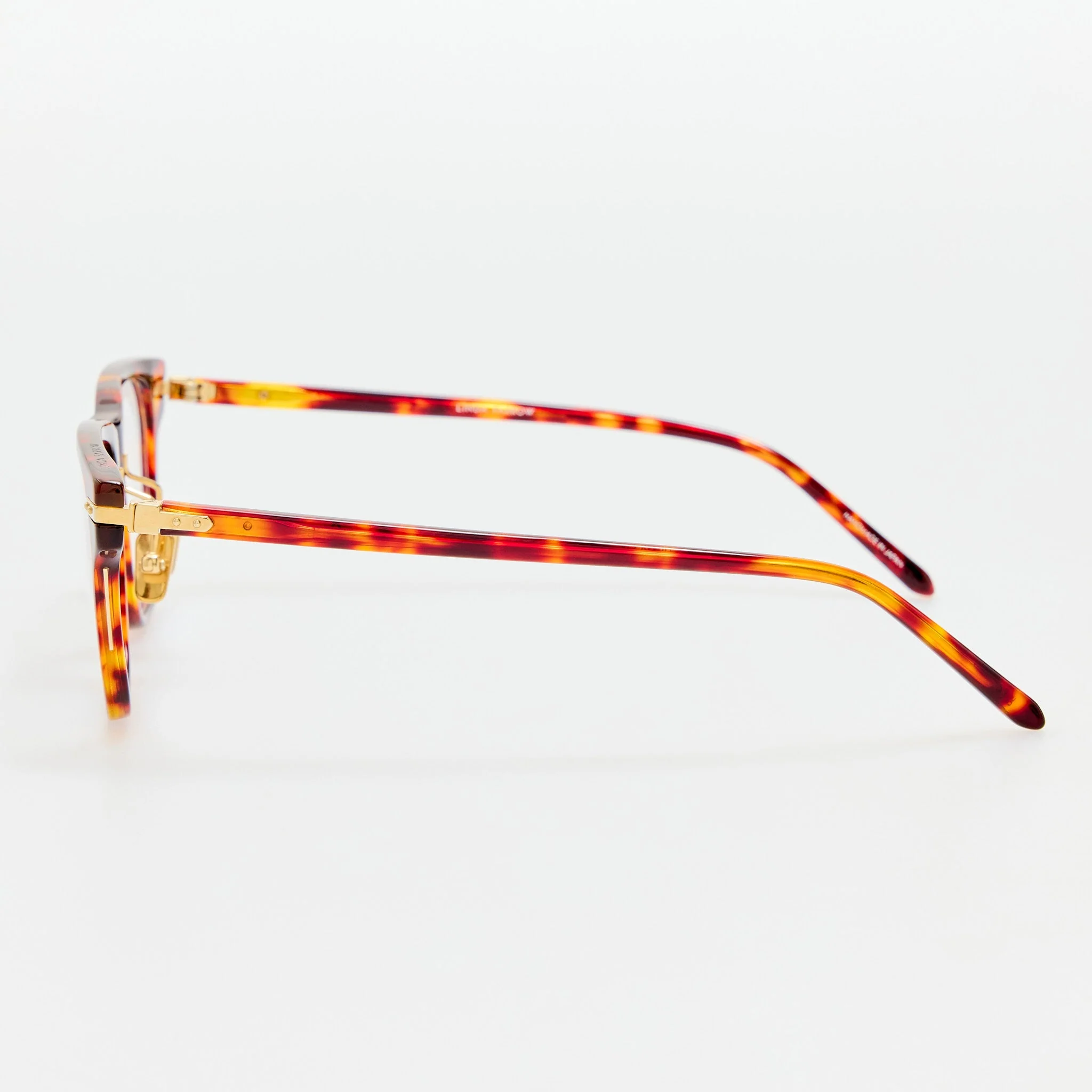 Cove Optical in Tortoiseshell - Image 6
