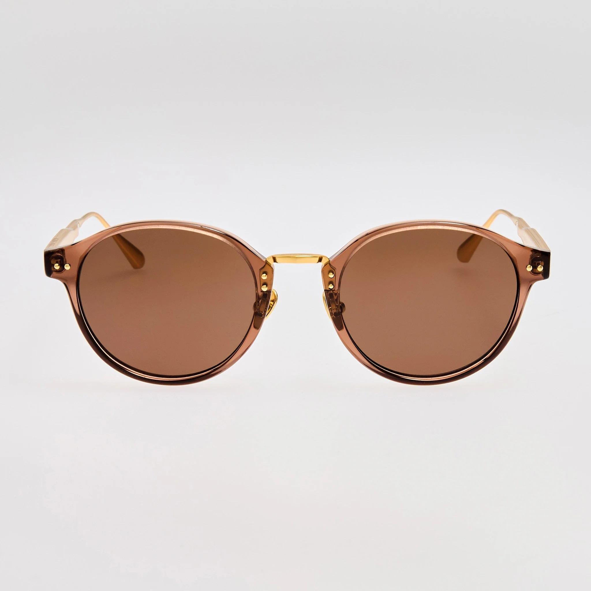 Marco Sunglasses in Brown