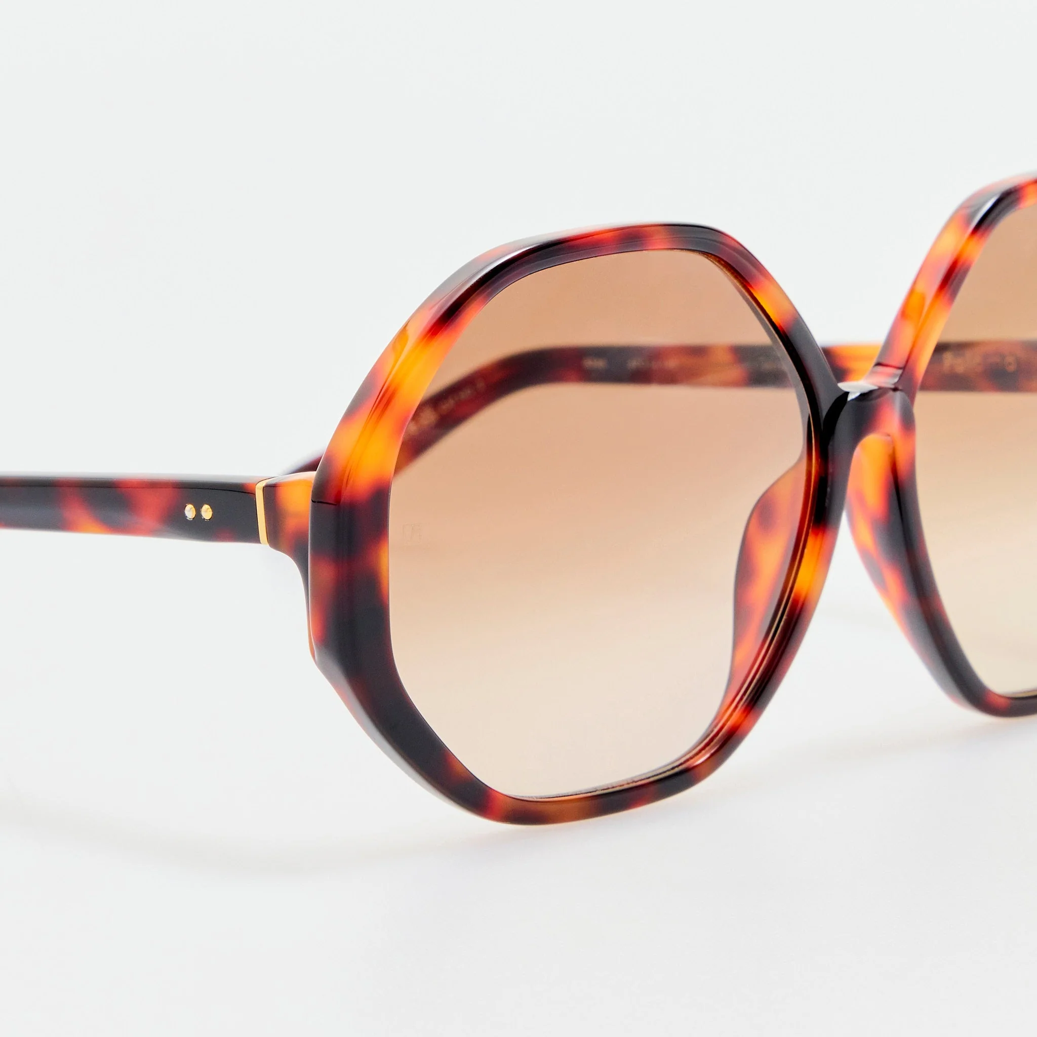 Paloma Sunglasses in Tortoiseshell - Image 5