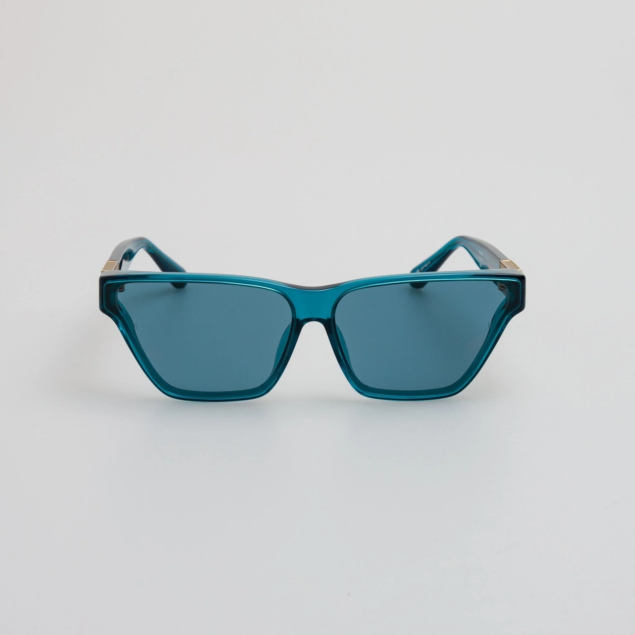 Skyler Cat-Eye Sunglasses in Aqua