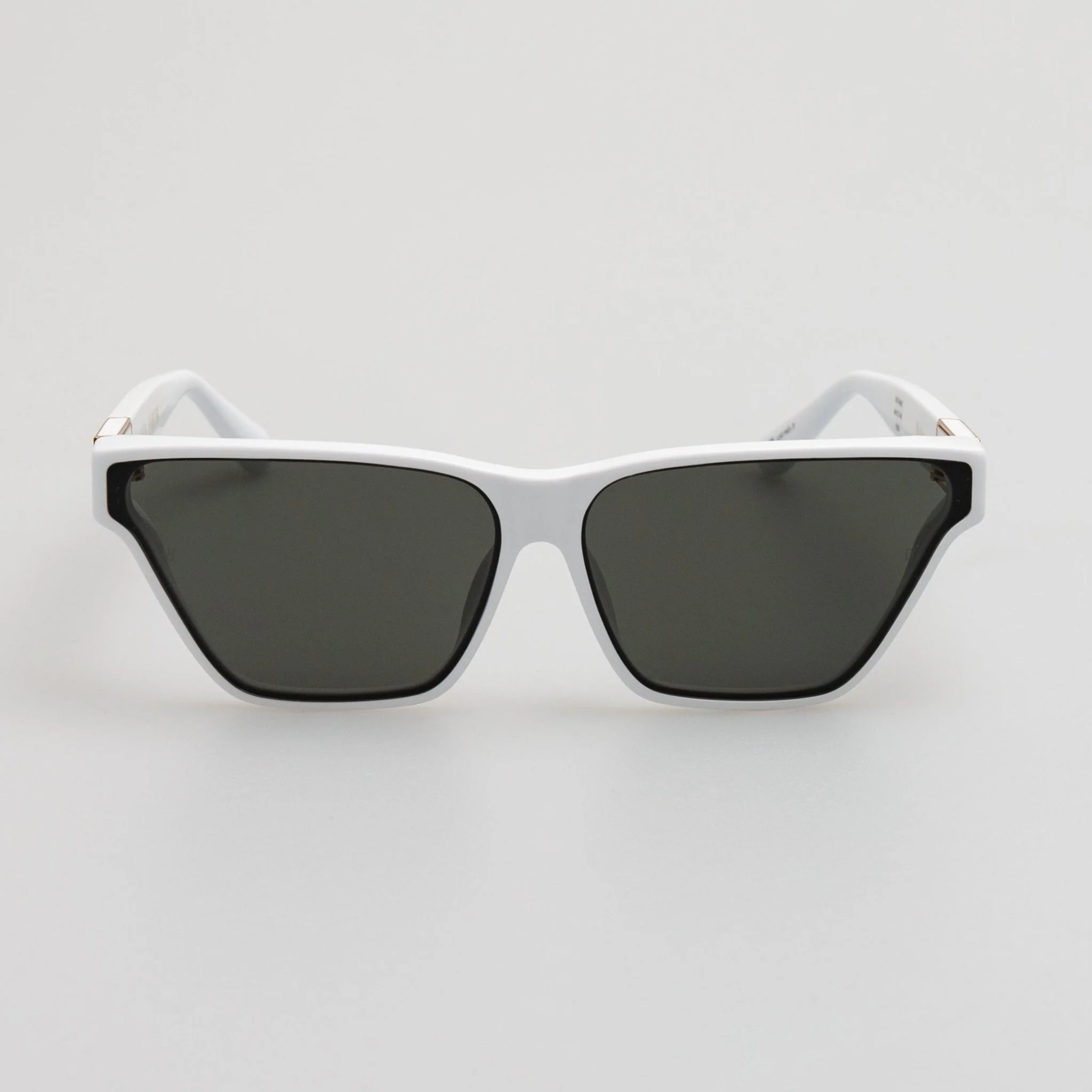 Skyler Cat-Eye Sunglasses in White
